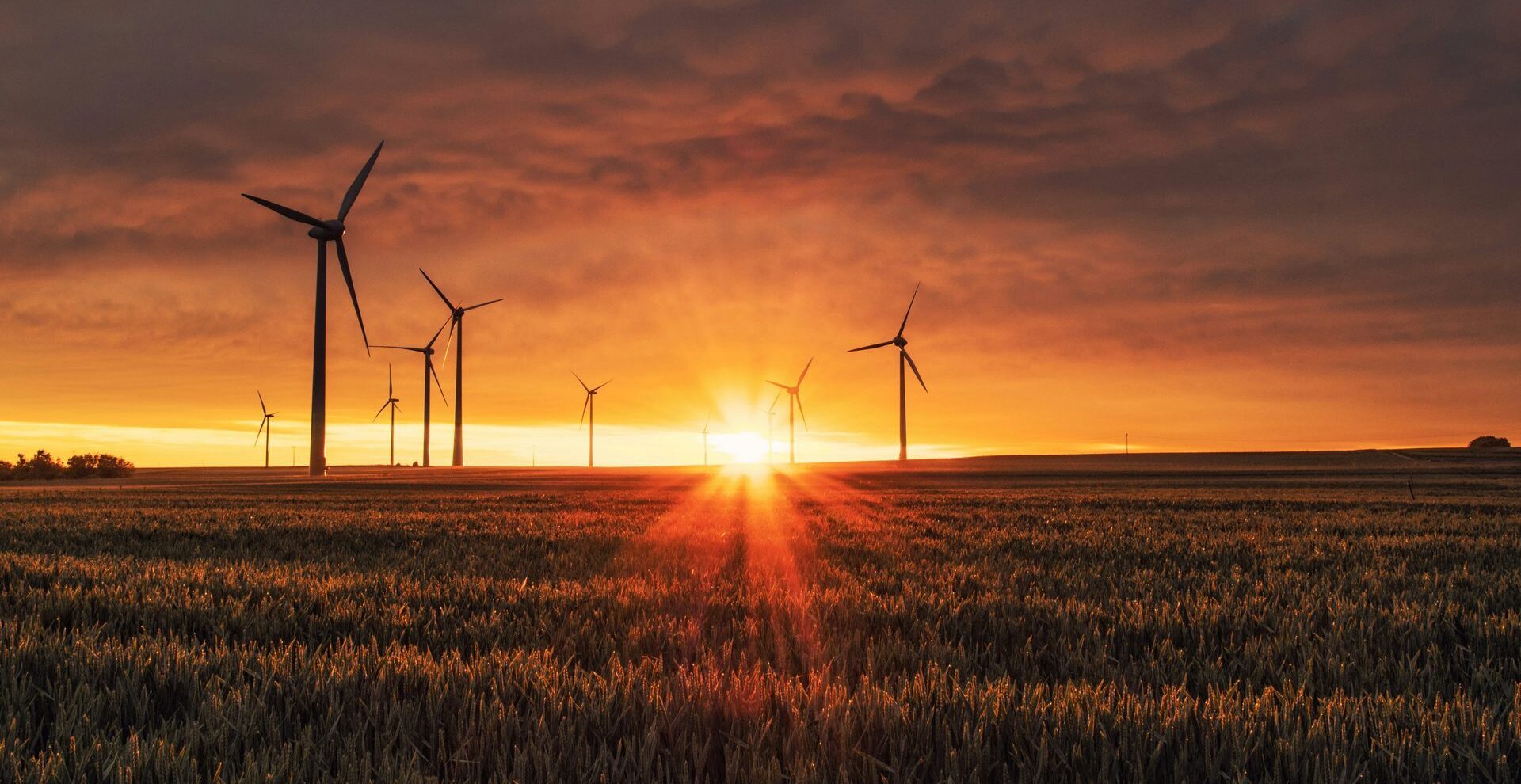 Immissionsschutzrecht